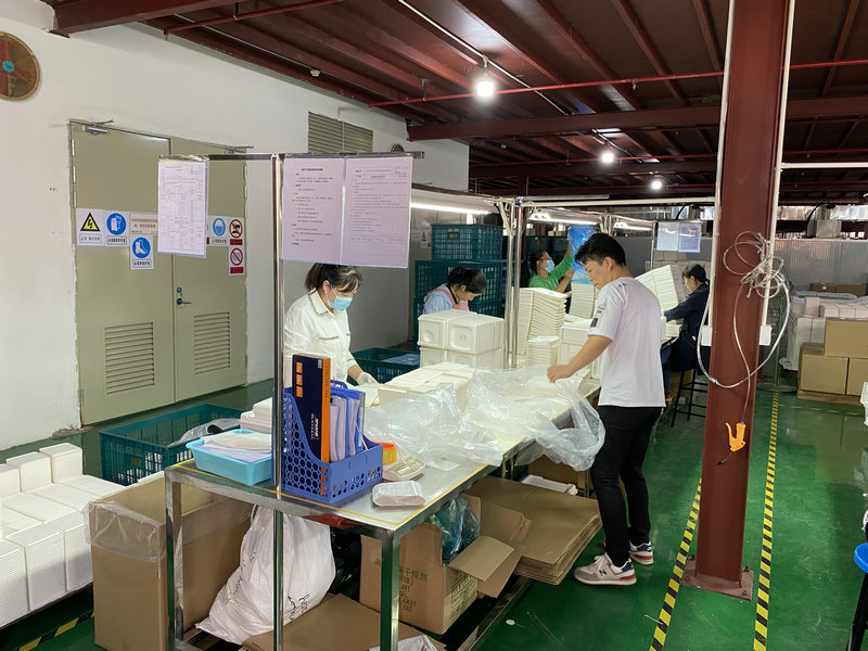 纸托厂：环保包装的新星